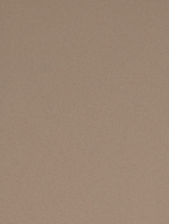 Light Luxury Copper