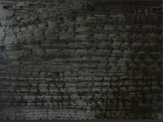 Black Oak