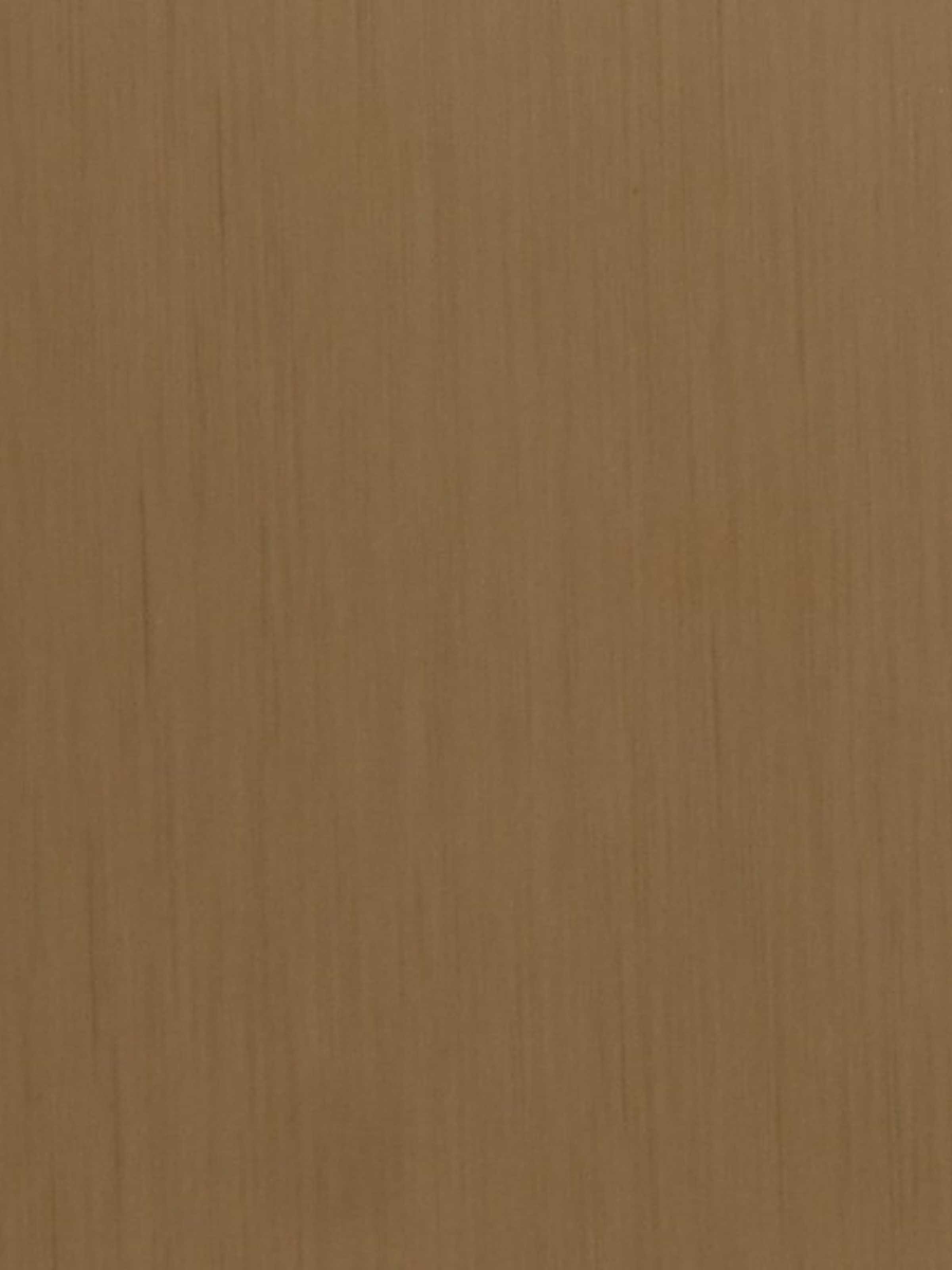 Brushed Light Luxury Gold