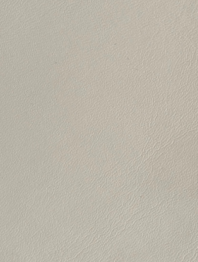 Lychee Grain PU — H76009